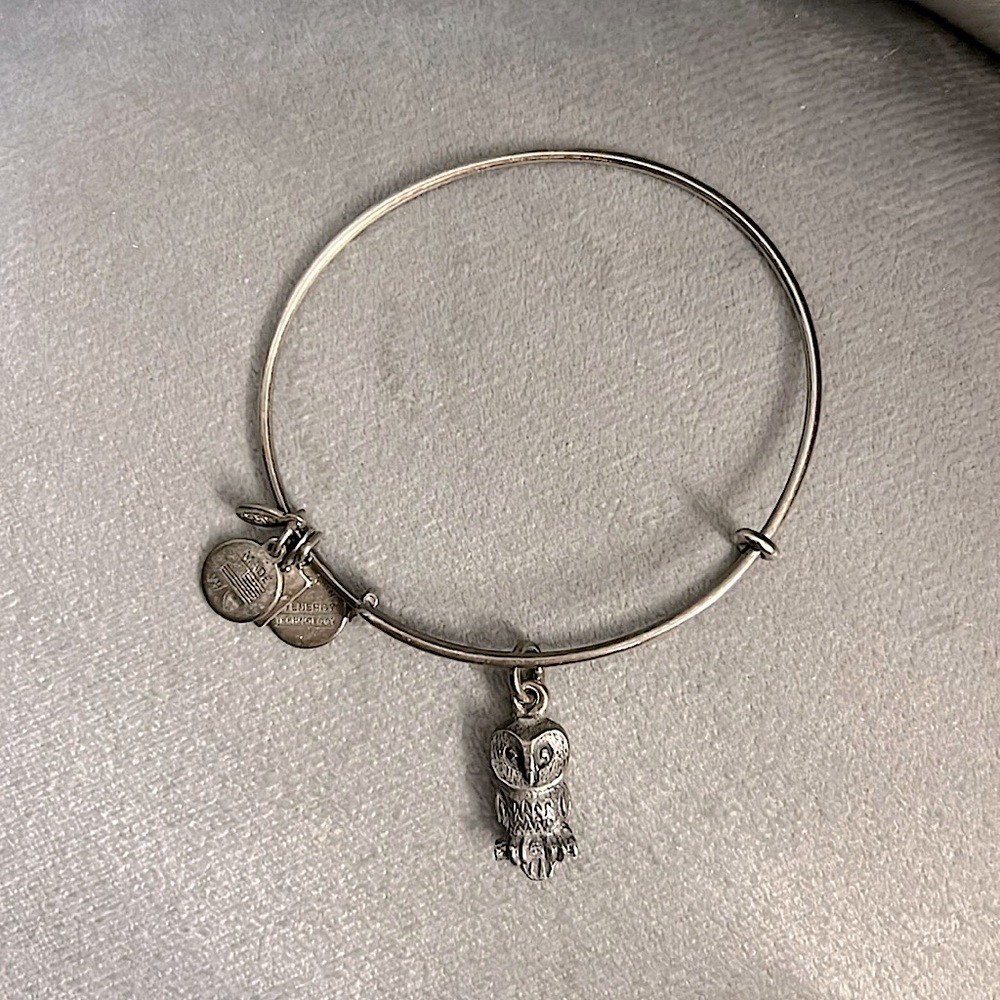 Alex and Ani Bracelet w/ Owl Charm Silver